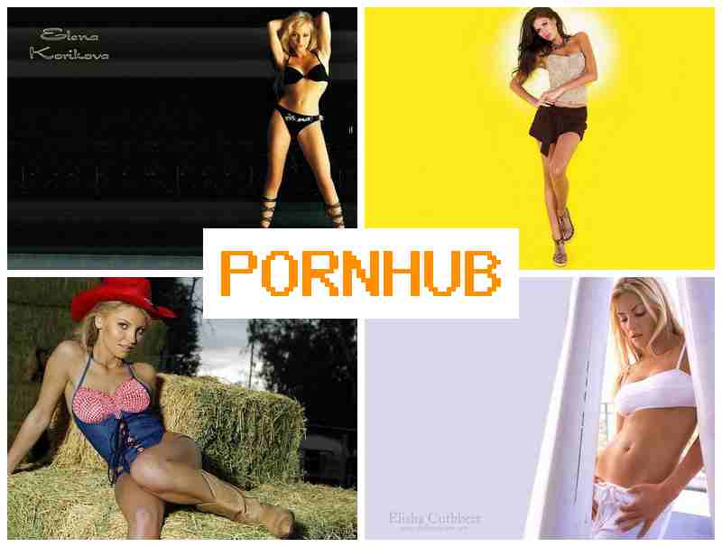 PORNHUN 🆓 Big Sexy Ass, Webcam